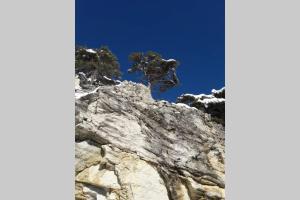 Appartements Appartement de charme le 1707 au coeur de la cite Vauban : photos des chambres