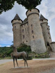 Appartements La Belle Auvergne : photos des chambres