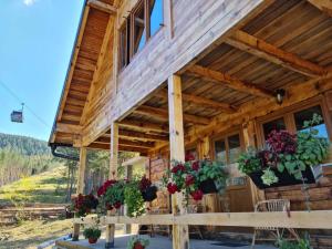 Tornik Brvnara Ljubojevic