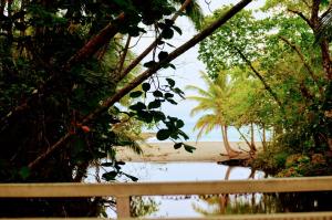 Montezuma Hills - Twin Houses in private compound - 4 to Downtown