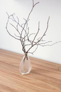 BohoHome Apartment Eger