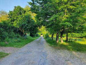 B&B / Chambres d'hotes Ferme equestre Gateau Stables : photos des chambres