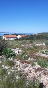 Robinson home in Pašman with Seaview, Terrace (4654-1)