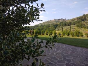 Oasi naturale "Roscignola"