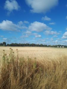 Ferienhaus am See Goch Kessel