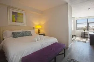 Luxurious Design One Bedroom Apt near Balboa Park - 纳欣诺市