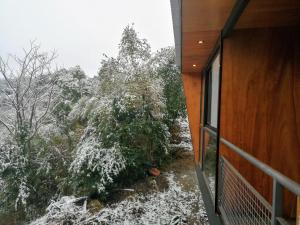 NIDO ARRIBA CABAÑAS