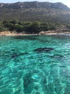 Le Farfalle Appartamento in villa trifamiliare - Porto Istana