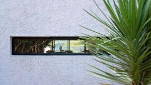 Appartements Villa Agave : photos des chambres