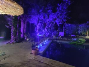 Maisons de vacances Gites Climatises Piscine Chauffee La Balancelle : photos des chambres