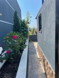 Perla Luxury Penthouse