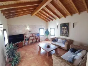 Magic house - La Oliva