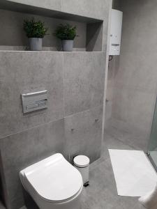 Apartament Aleksandra w sercu Starego Miasta
