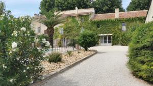 Maisons de vacances Le Domaine de Patris : photos des chambres