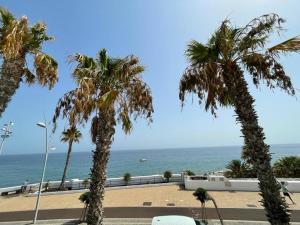 Apartamentos Capellania