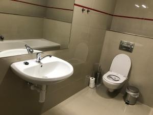 Boutique Apartments Liberec