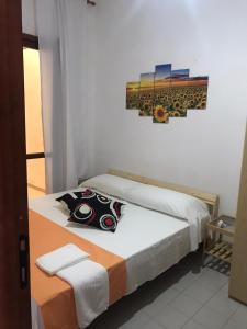 Casa Pinus img13