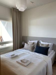Tahko Chalets B402