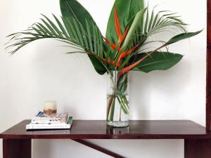 Luna de Jade Apartment