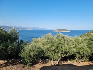 Maria Olive and Sea Villa