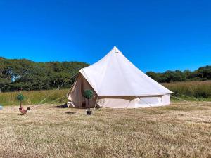 Coedmor Camping - Unrated properties in Cardigan