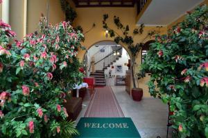 Eleni Apartments Corfu Greece