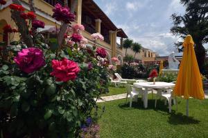 Eleni Apartments Corfu Greece