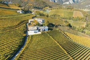 Für 4-6 Wohnhaus im Weinberg - Voldersberghof