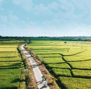 Jl. Pantai Batu Bolong, Pantai Canggu, Canggu, Kuta Utara, Kabupaten Badung, Bali 80361, Indonesia.