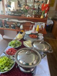 Lyžařská Bouda Domovina