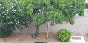 Apartman na najboljoj lokaciji , nedaleko od plaže