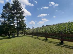Ferienwohnung Wald und Weitblick