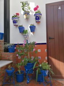 Casa Rural Patio Rociero - Ubytování bez kategorie ve městě El Rocío