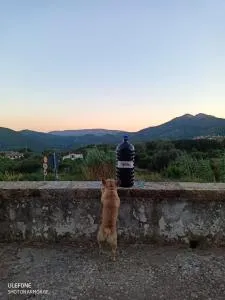 casa Luciana - Rio nellʼElba