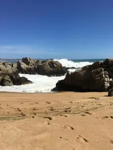 Cabañas en Algarrobo Norte - Йеко