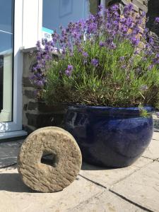 2 Bed Rural cottage between the mountains and Sea in West Wales