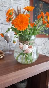 Ferienhaus auf Rügen