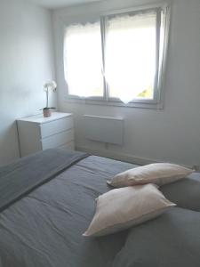 Appartements La Belliere : photos des chambres