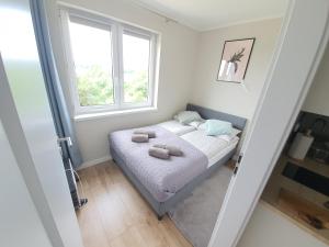 Apartamenty Dębowe
