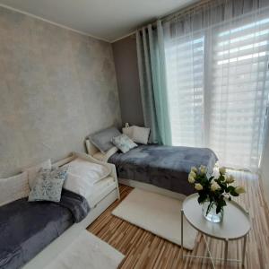 Apartament Centrum