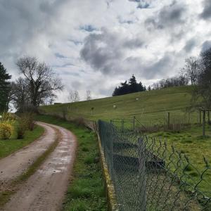 Maisons d'hotes Au pays d'Angeline : photos des chambres