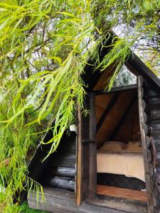 Iwoka Ecoturismo - Ubytování bez kategorie ve městě La Calera