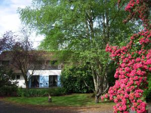 Hotels Le Petit Coq aux Champs - Les Collectionneurs : photos des chambres