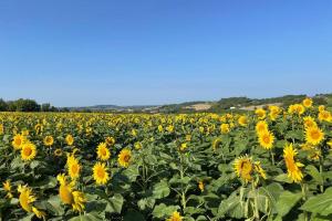 Maisons de vacances Gite Jeanroy a Cheerful 2 Bedroom Rural Gite : photos des chambres