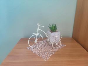 Tirana City Center Apartment