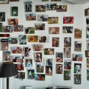 Appartements Ostreane-en-Re : photos des chambres