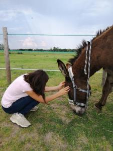 Gîte Les Anes de Medeina