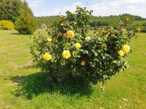 Maisons de vacances Charming traditional 2-Bed Cottage near Plemet : photos des chambres