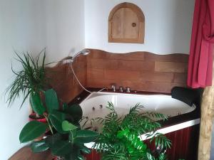 Coin de paradis avec vue unique sur la mer et la tour génoise