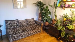 Instytut Zdrowia i Hortiterapii